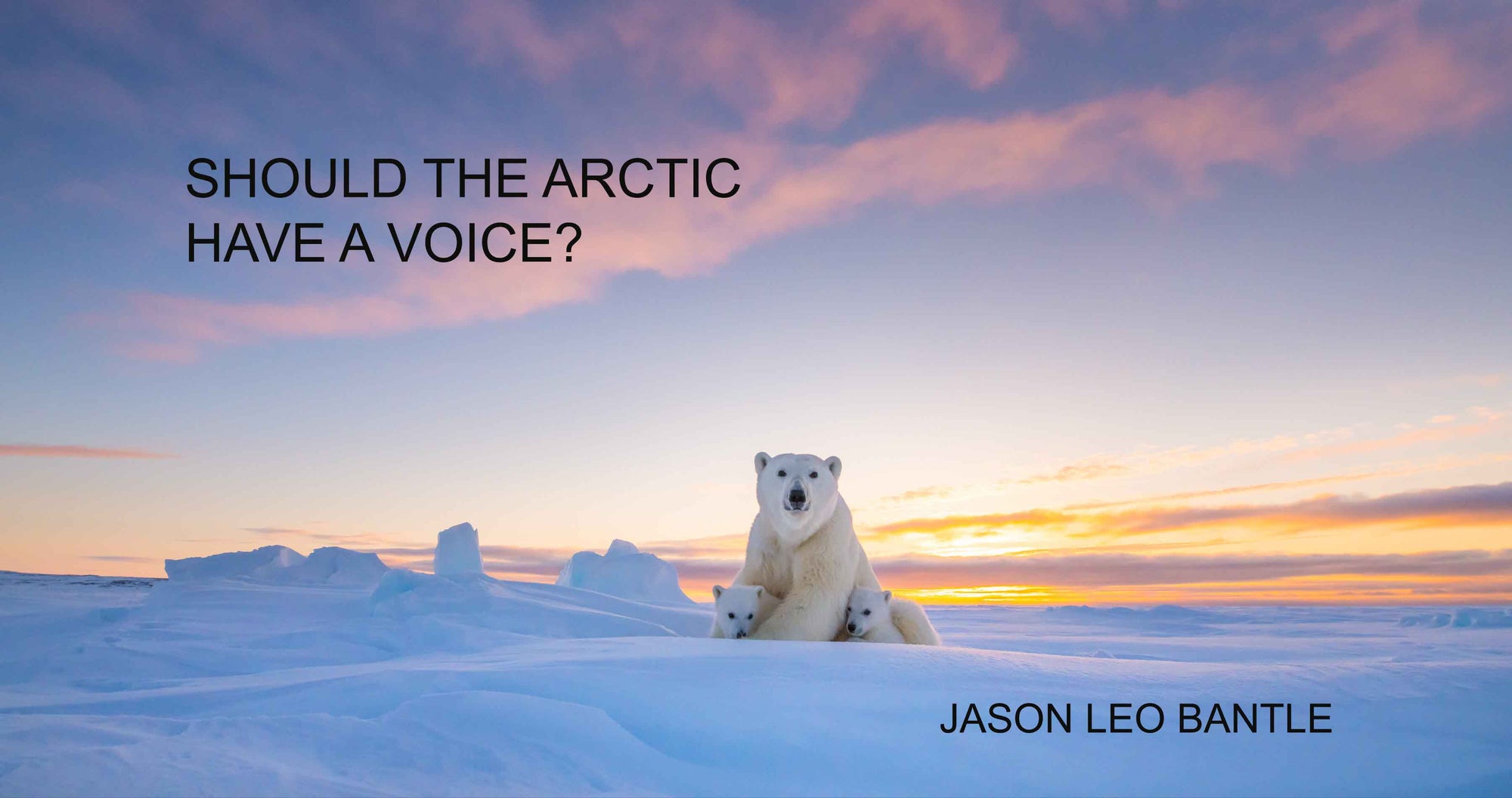 "Should the Arctic Have a Voice?" - Webinar
