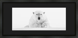 Canadian Wood Frame Panoramic (Recommended)