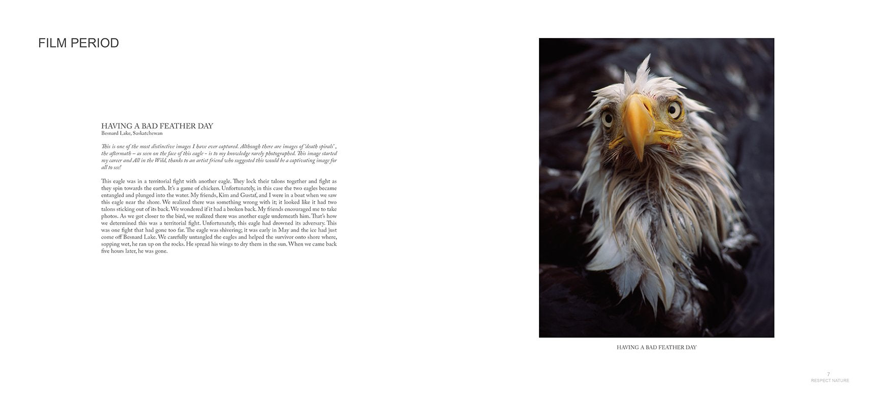 Spot varnished images that just ‘pop’ the images off the page.