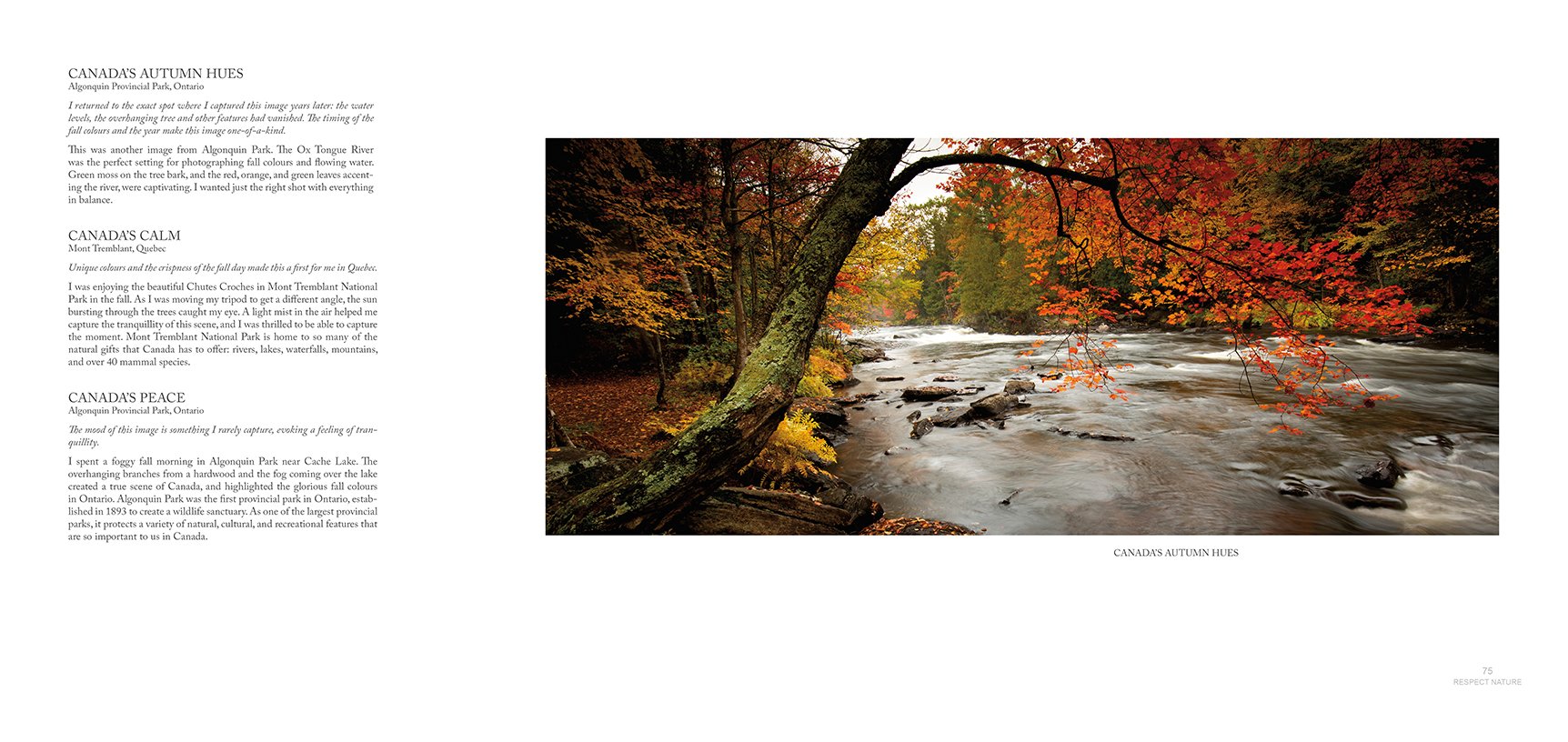 Elegant and clean design.