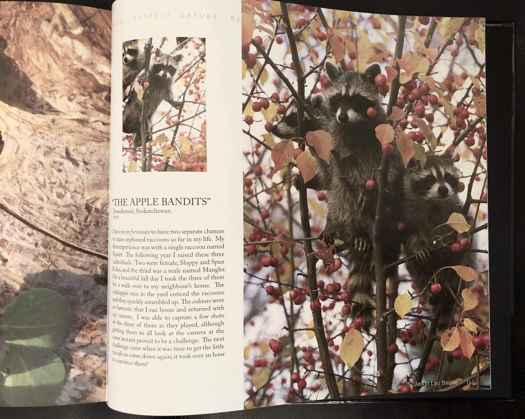 All in the Wild: Calling - All in the Wild