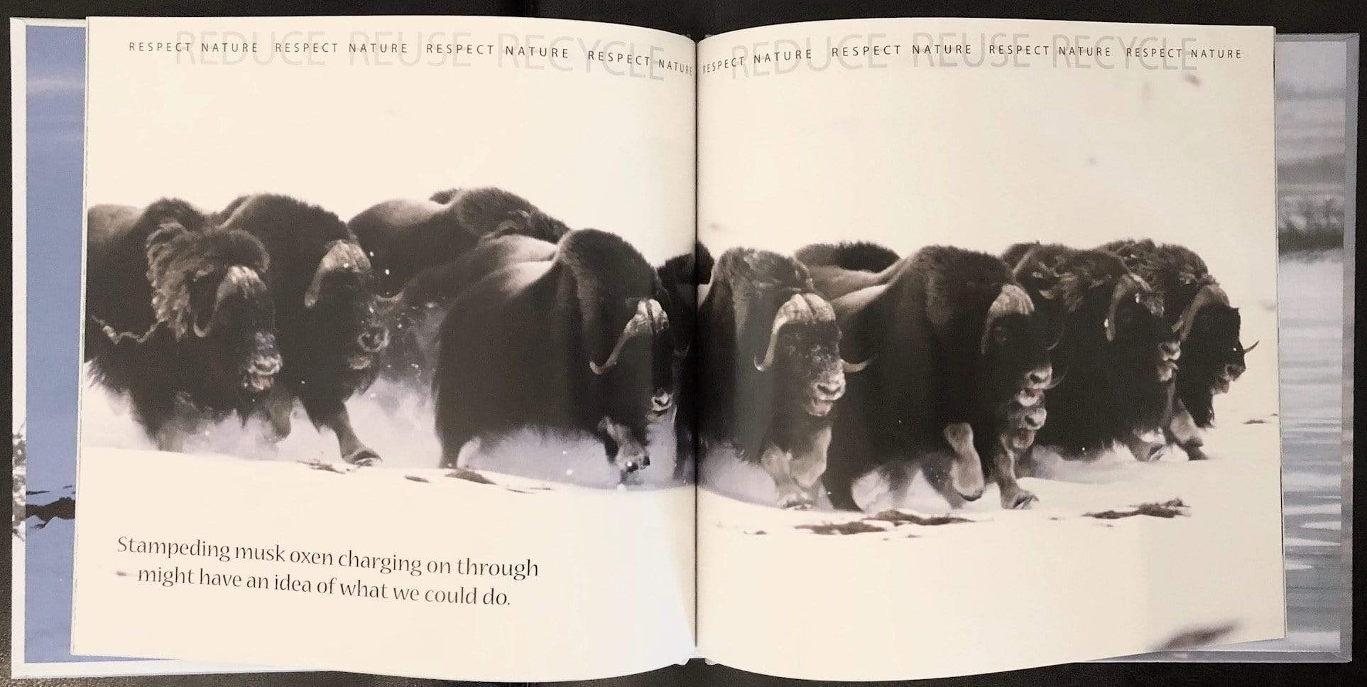 Mom What Can Be Done? *Sold Out* Book