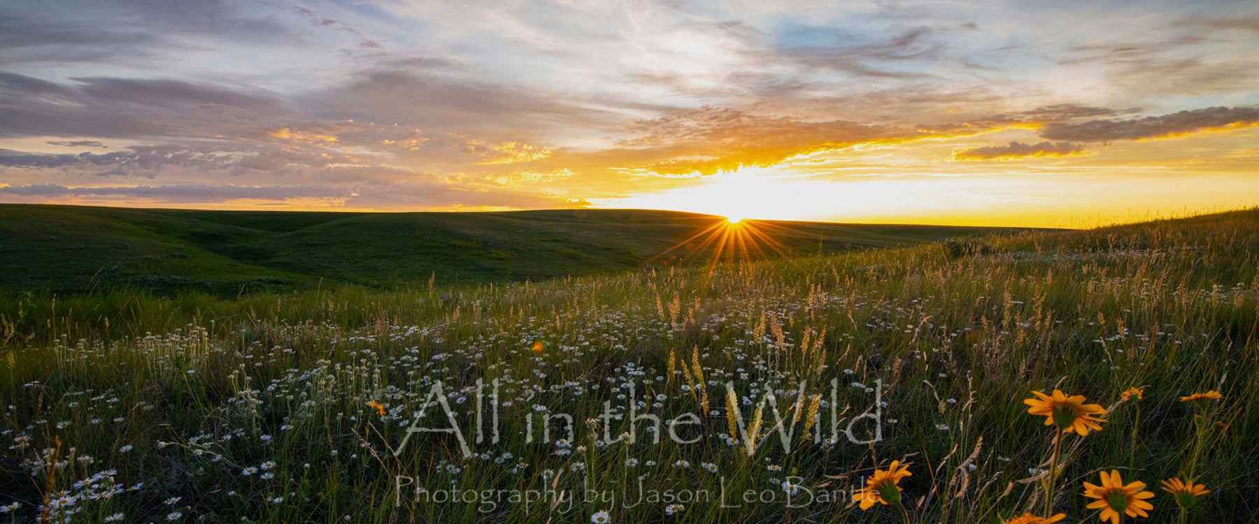 Prairie Glow Pano