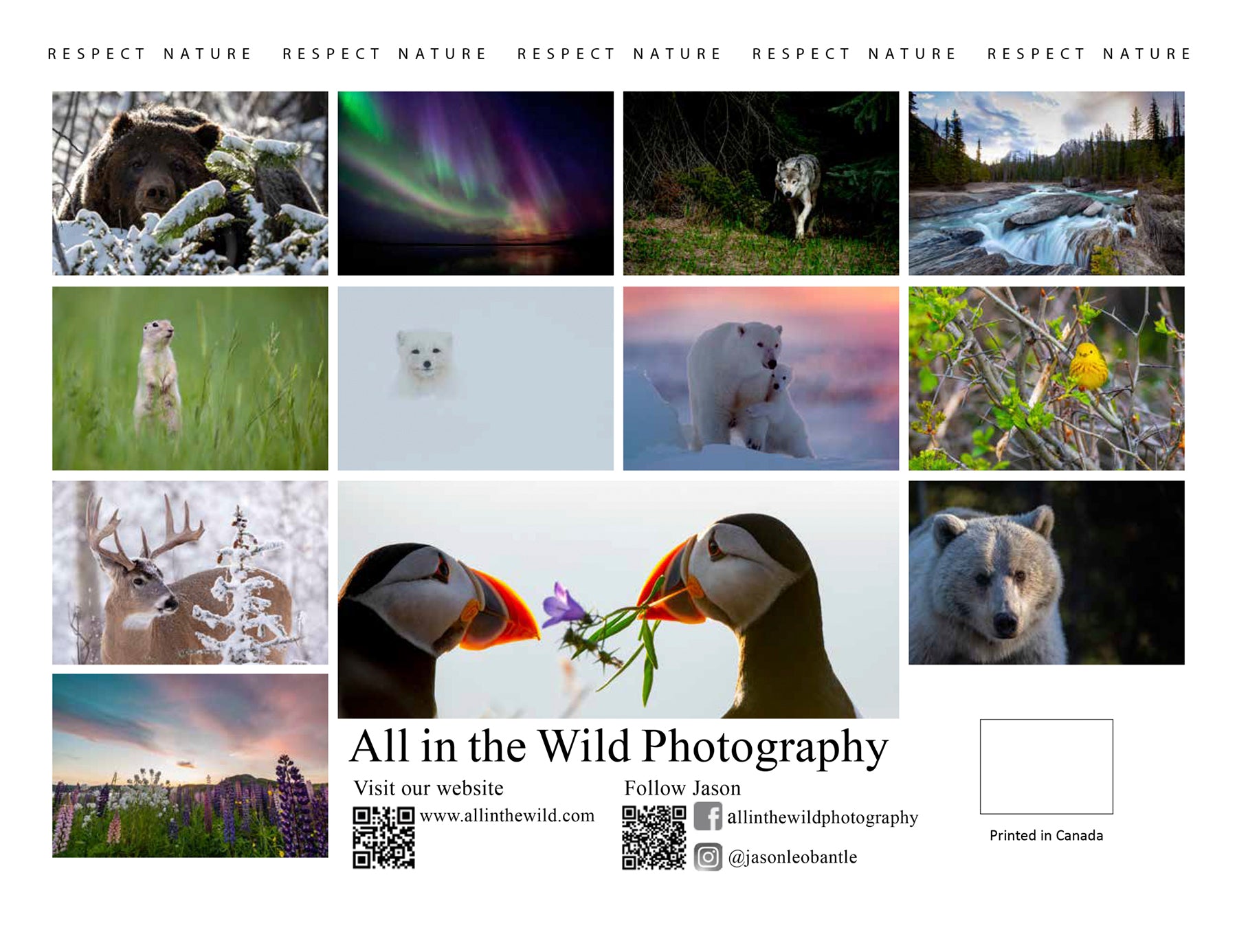 Countryfile Calendar 2025 Pictures Kati Sascha Countryfile Calendar 2025 Winners Pictures List Free