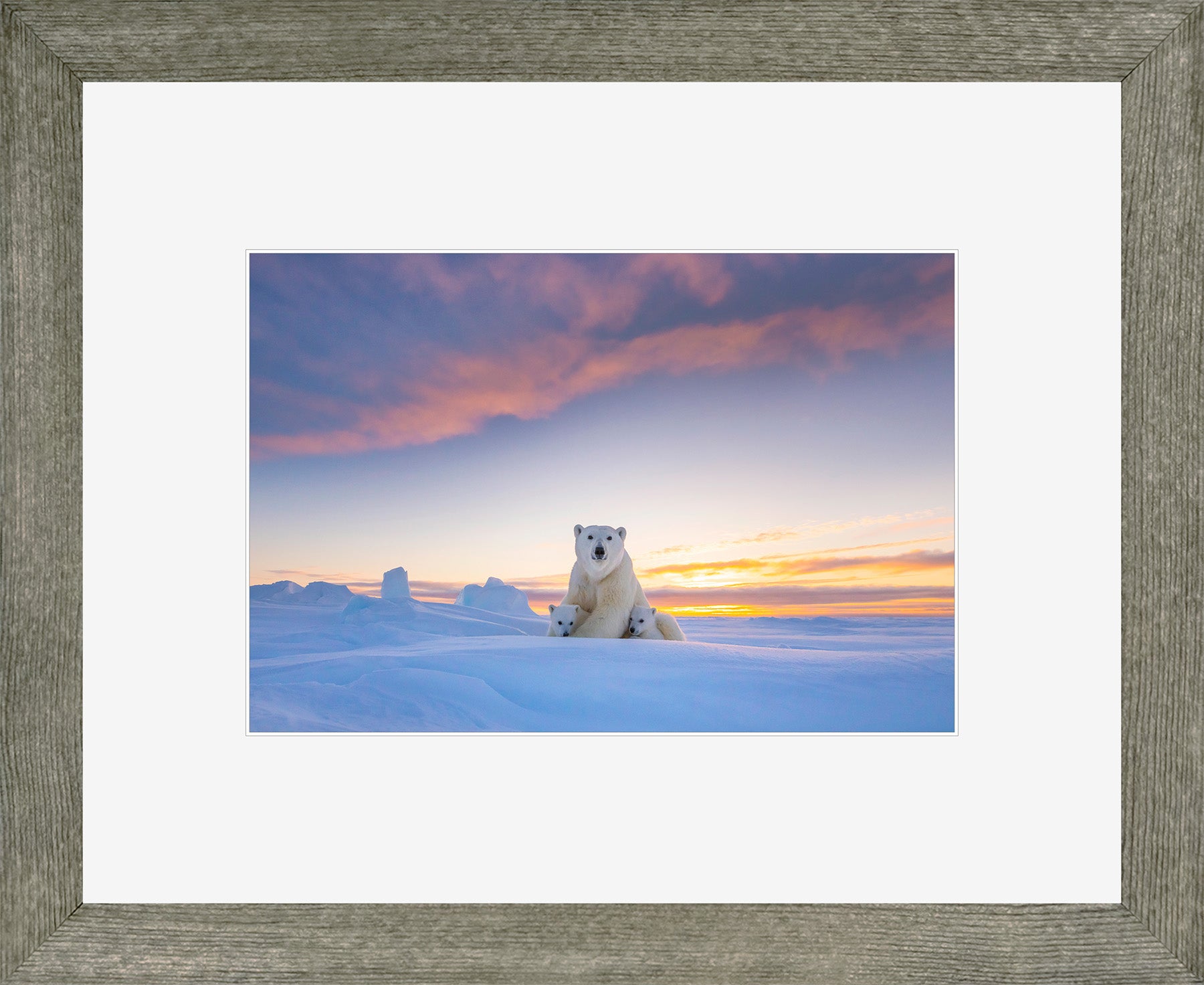 Canadian Wood Frame Regular