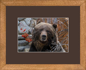 Canadian Wood Frame