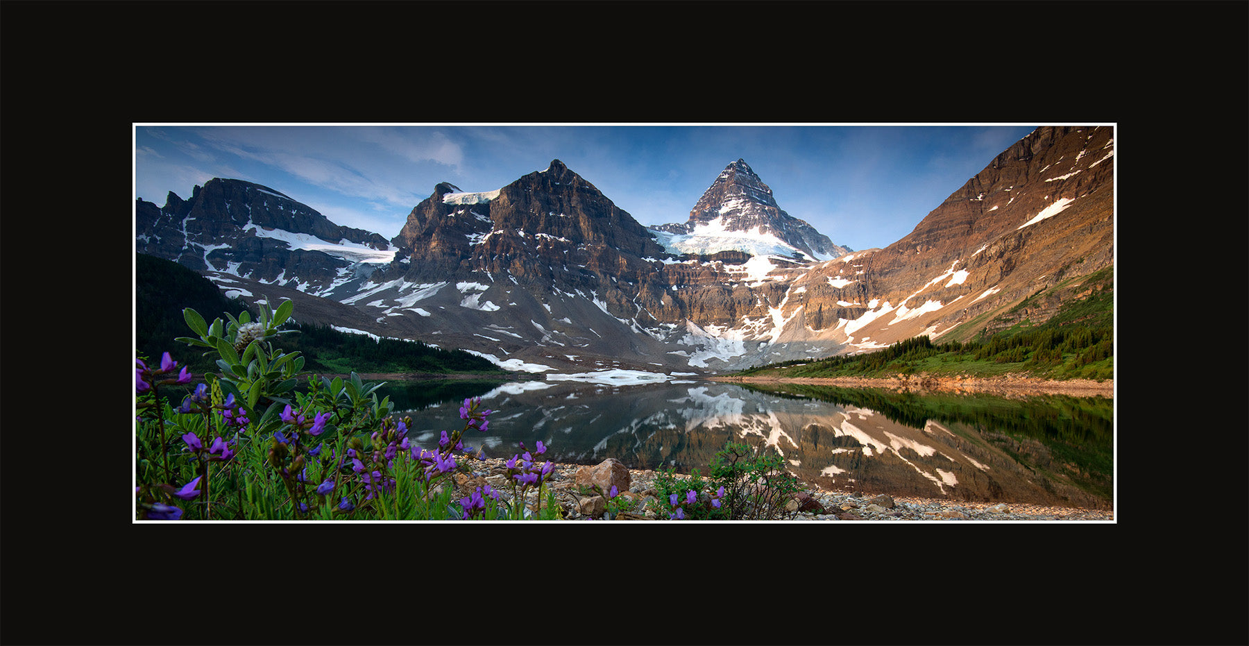 Matted Panoramic