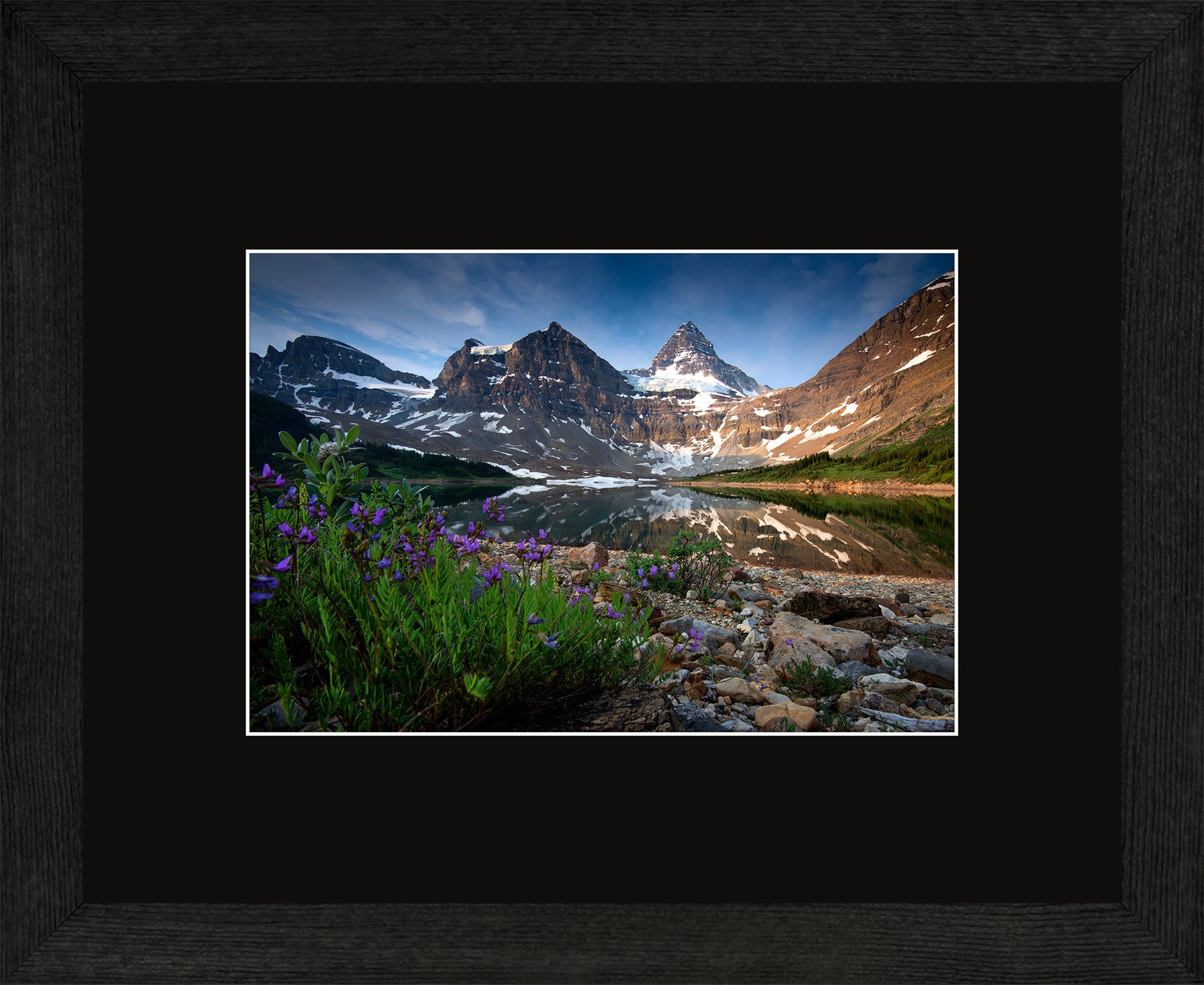 Canadian Wood Frame Regular