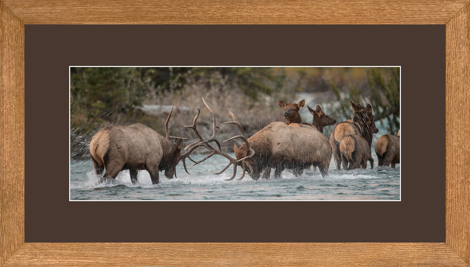 Canadian Wood Frame Panoramic