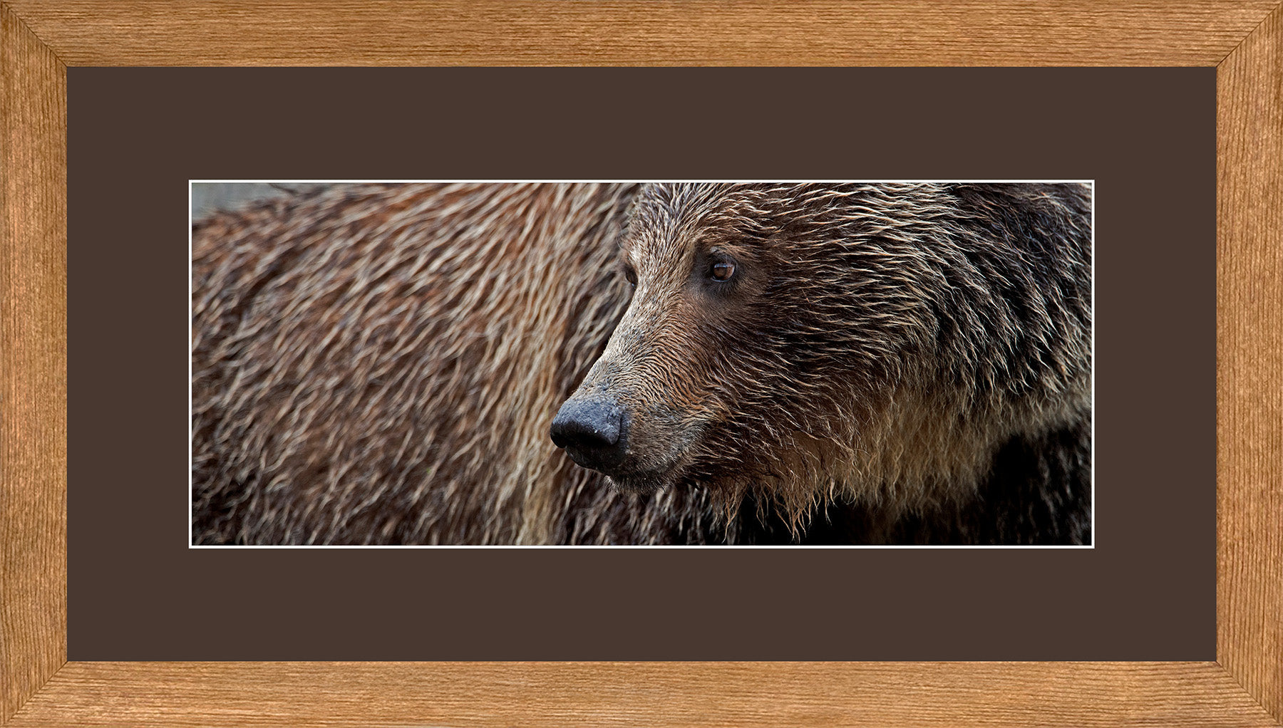 Canadian Wood Frame Panoramic