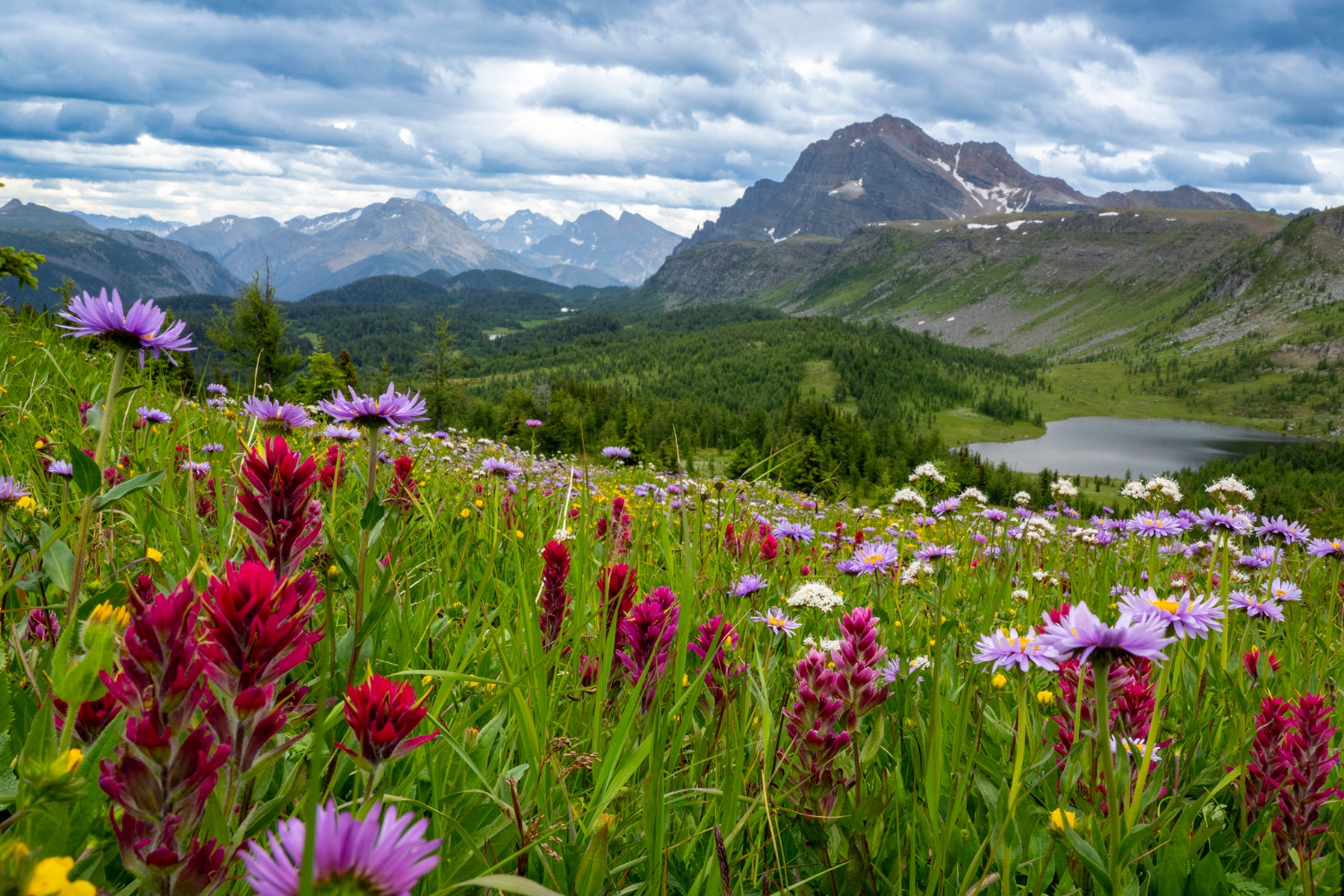Landscapes – All in the Wild