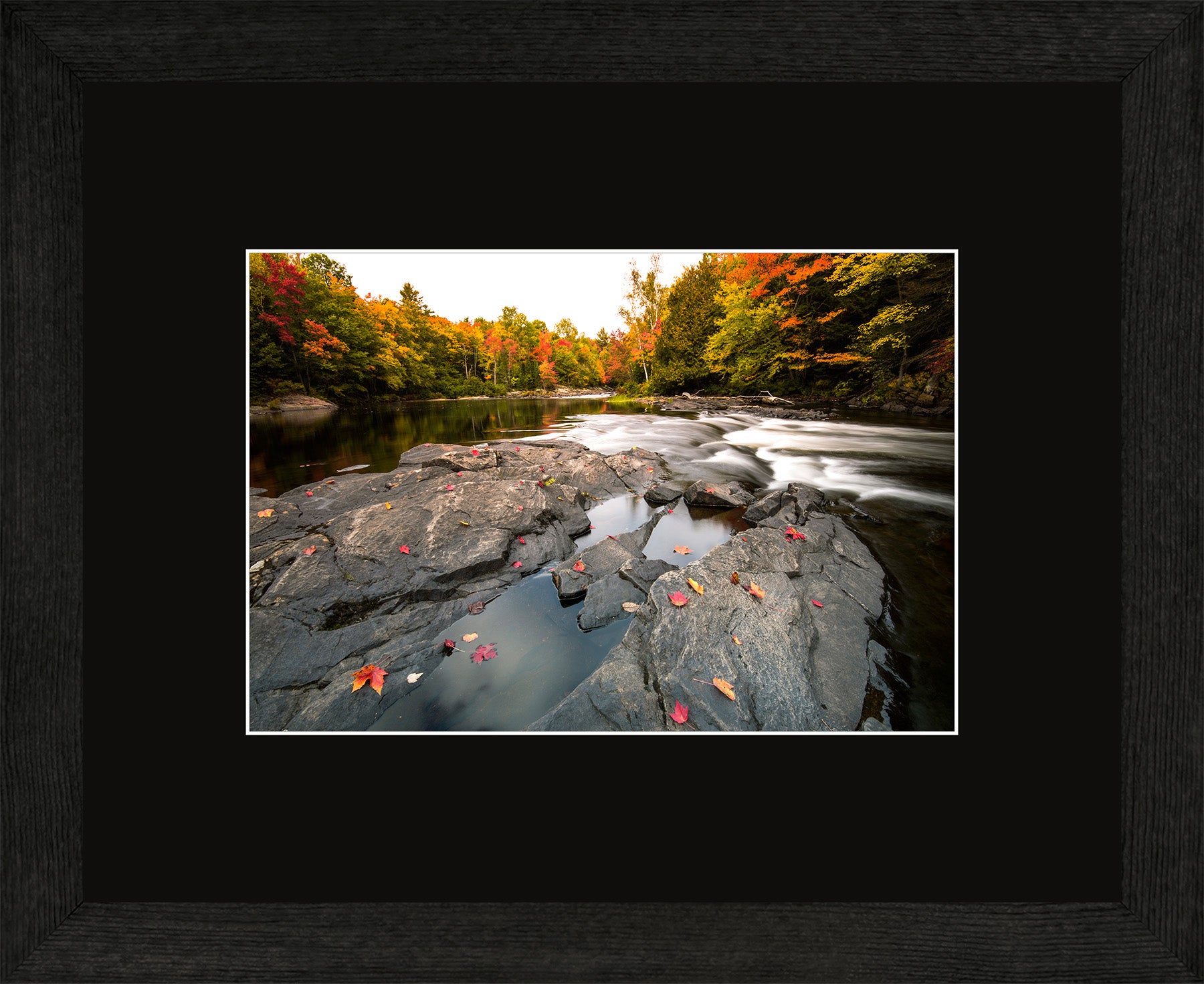 Canadian Wood Frame Regular