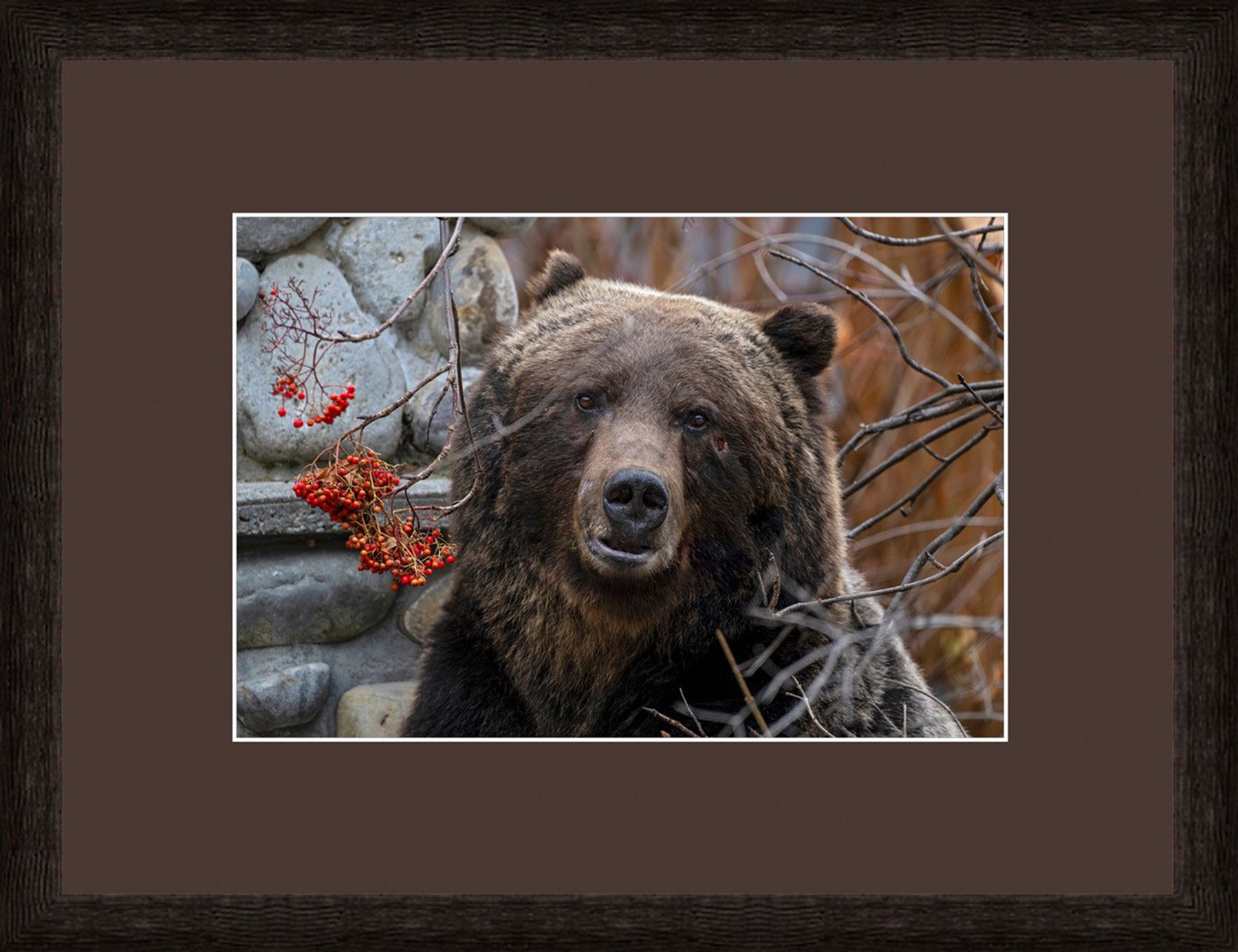 Contemporary Frame Brown Mat