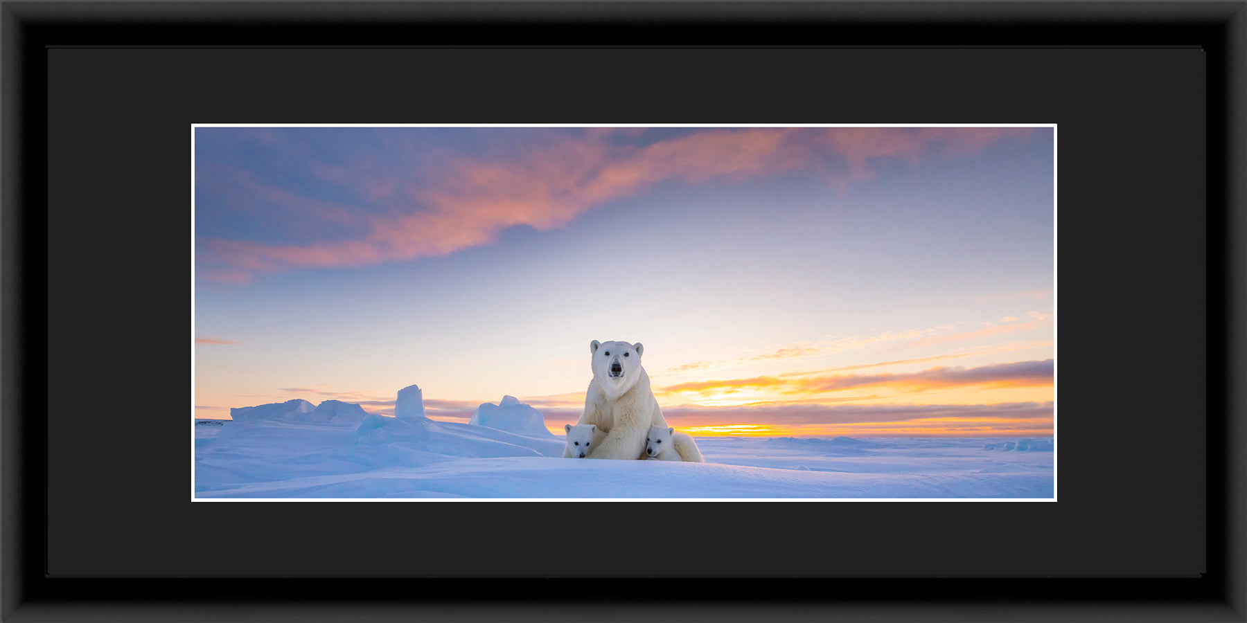 Panoramic Contemporary Frame Black Mat