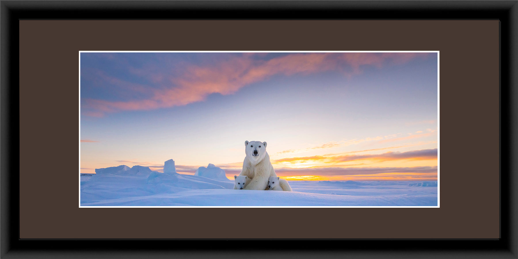 Panoramic Contemporary Frame Brown Mat