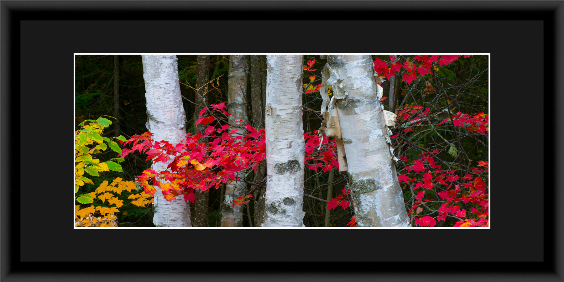 Contemporary Frame Panoramic
