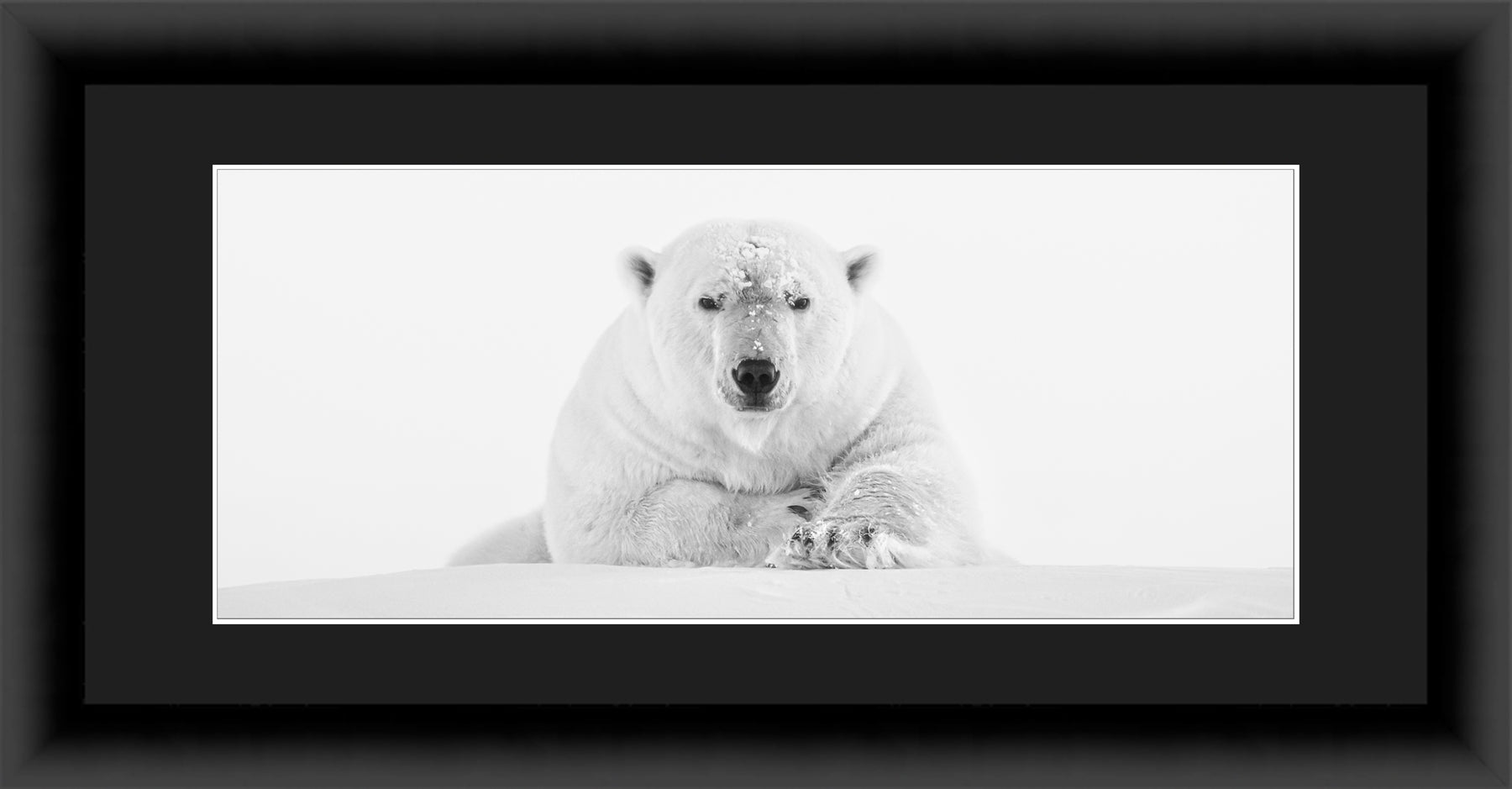 Contemporary Frame Panoramic