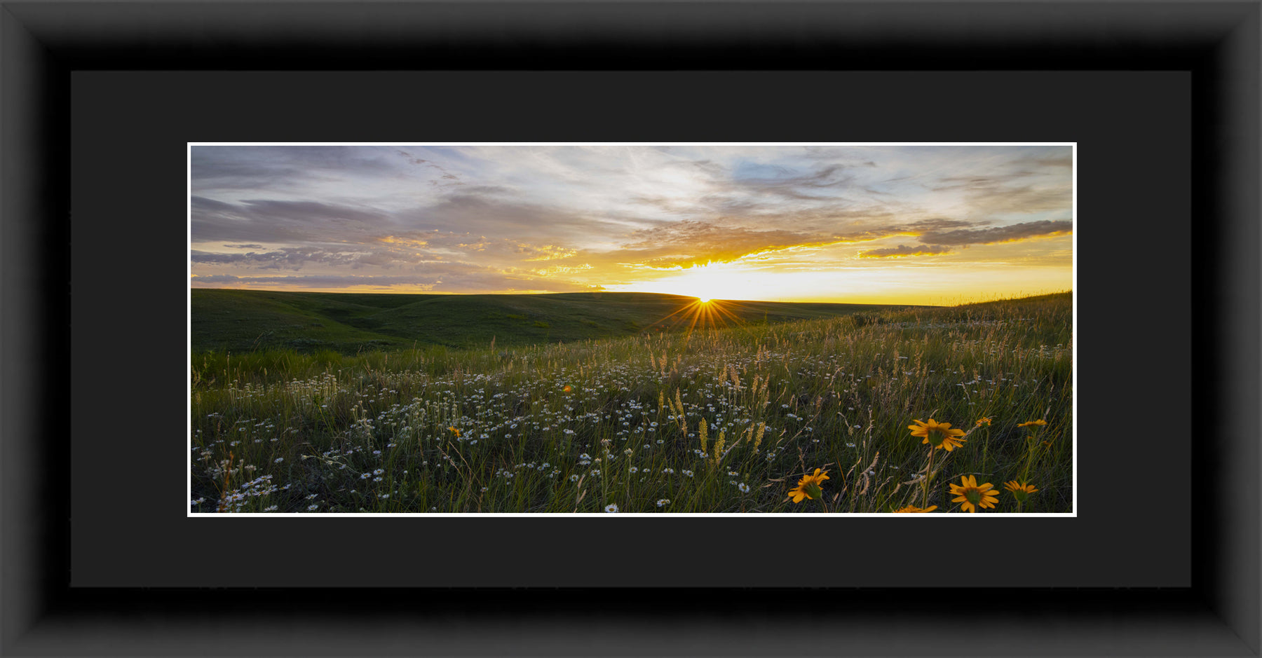 Contemporary Frame Panoramic