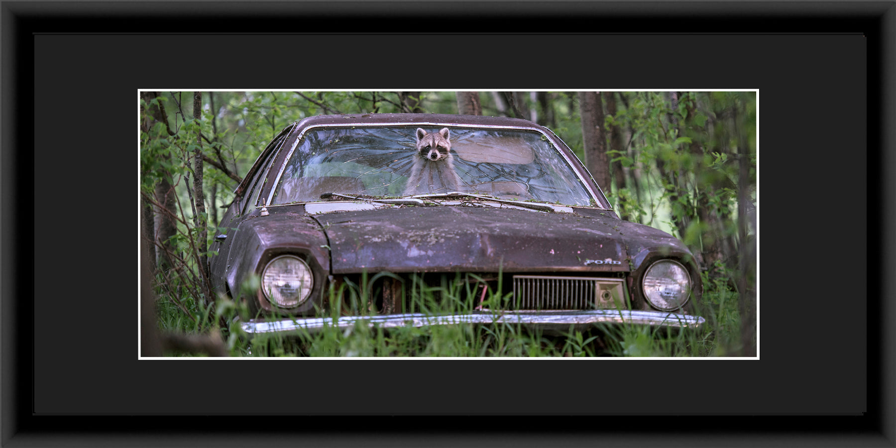 Panoramic Contemporary Frame Black Mat