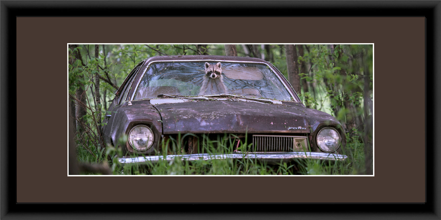 Panoramic Contemporary Frame Brown Mat