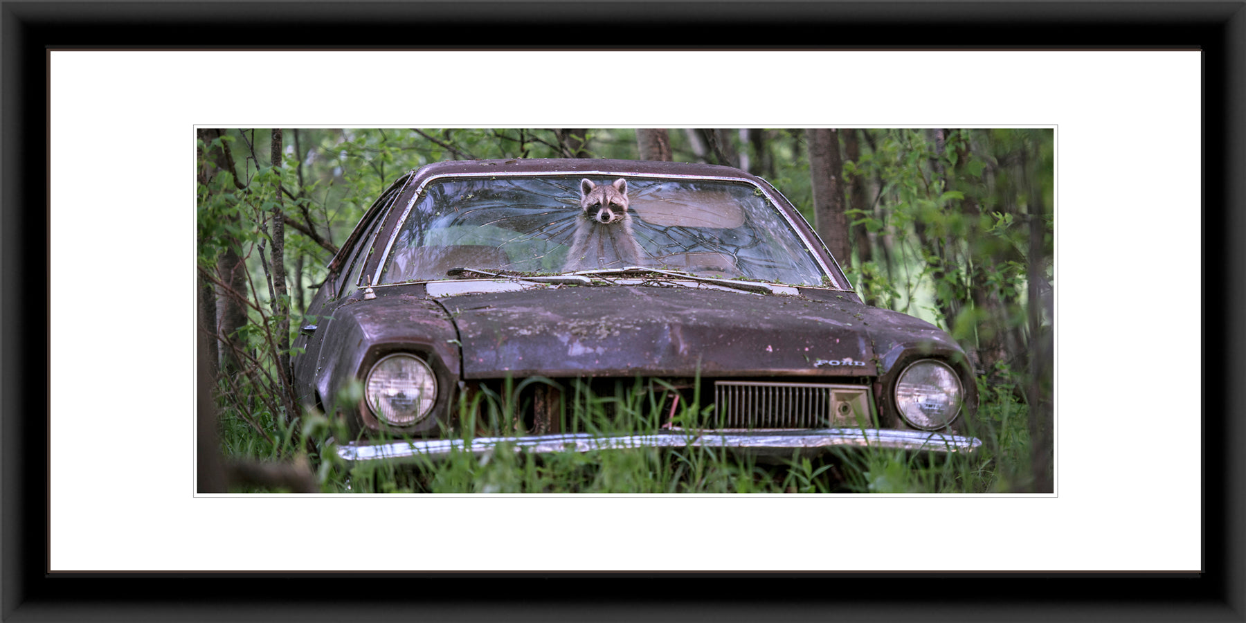 Panoramic Contemporary Frame White Mat