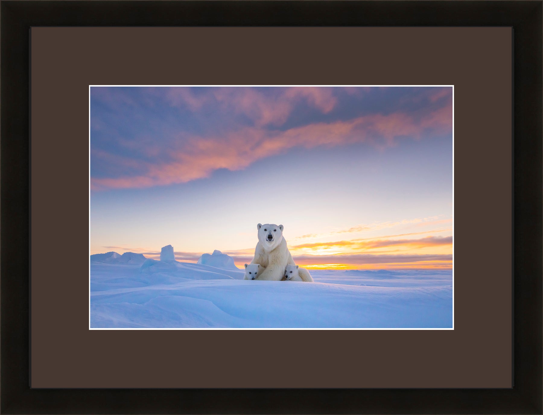 Contemporary Frame Brown Mat