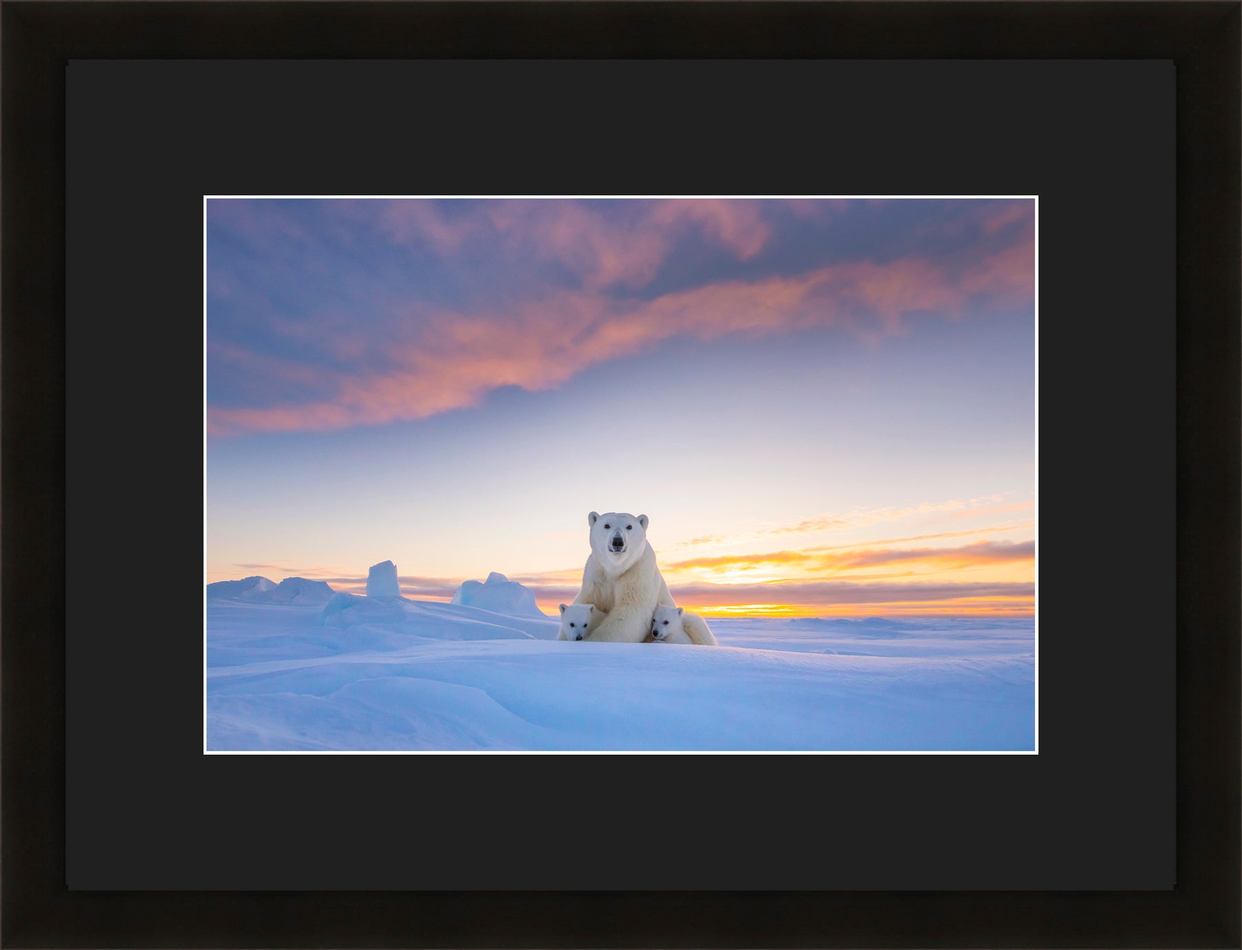 Contemporary Frame Black Mat