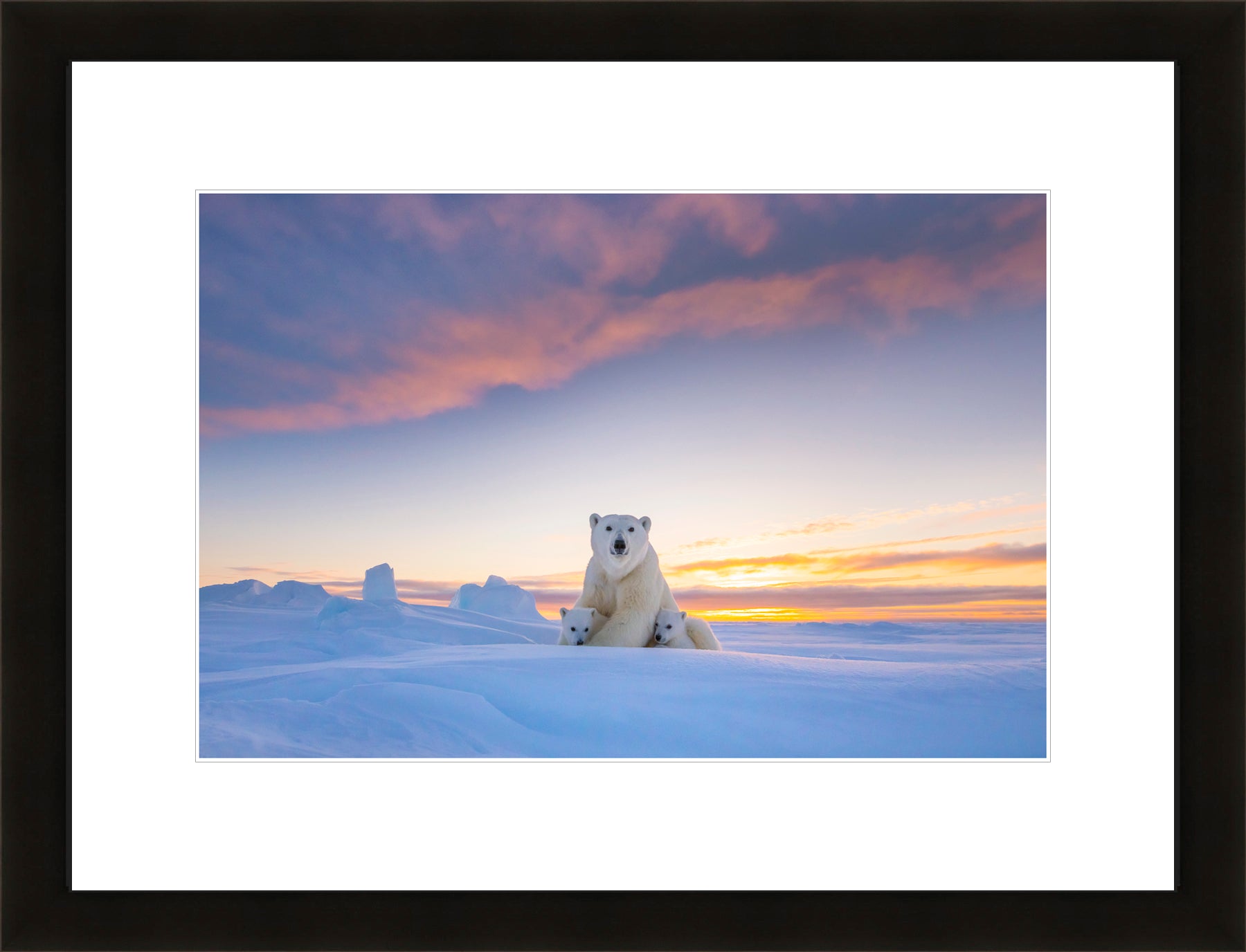 Contemporary Frame White Mat