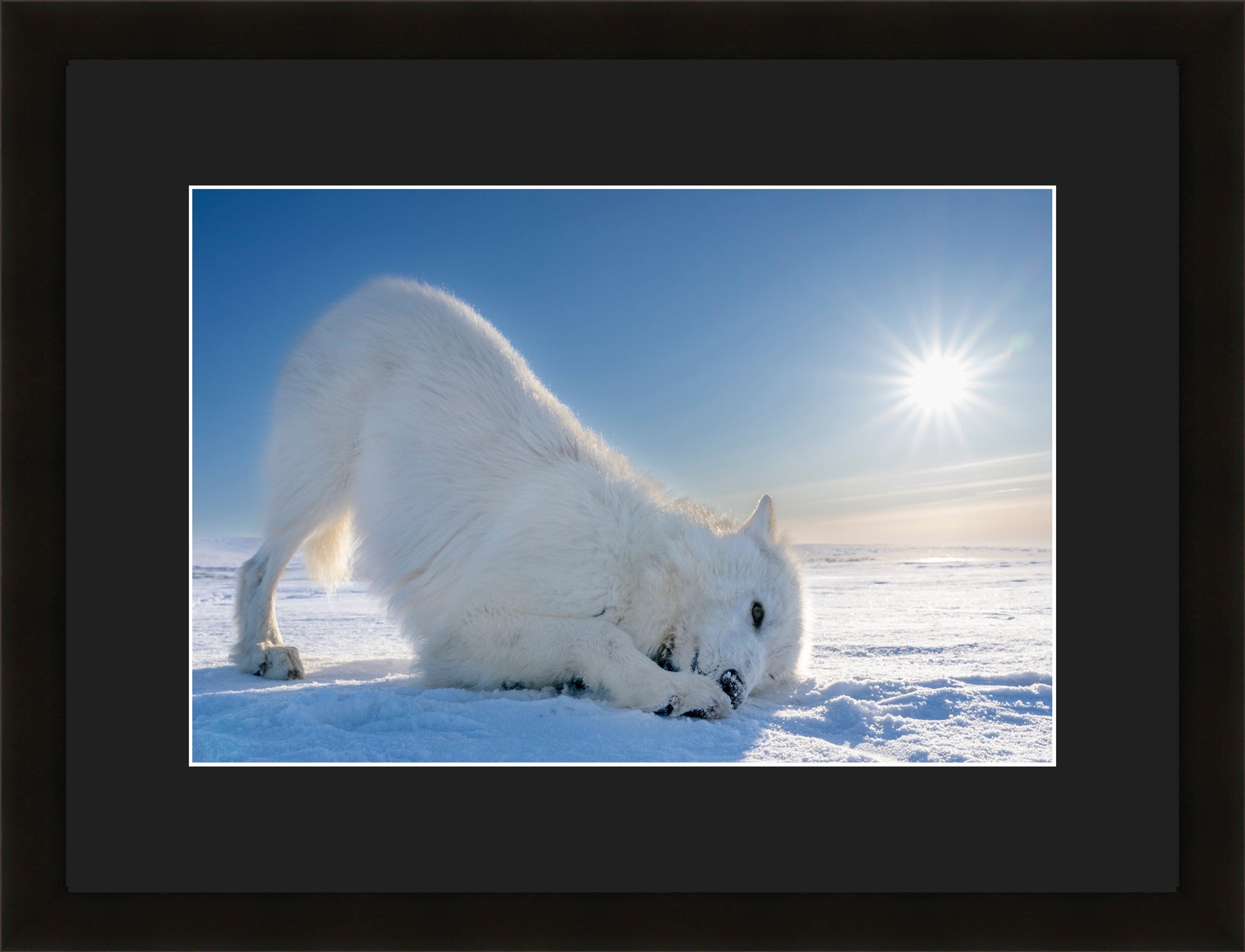 Contemporary Frame Black Mat
