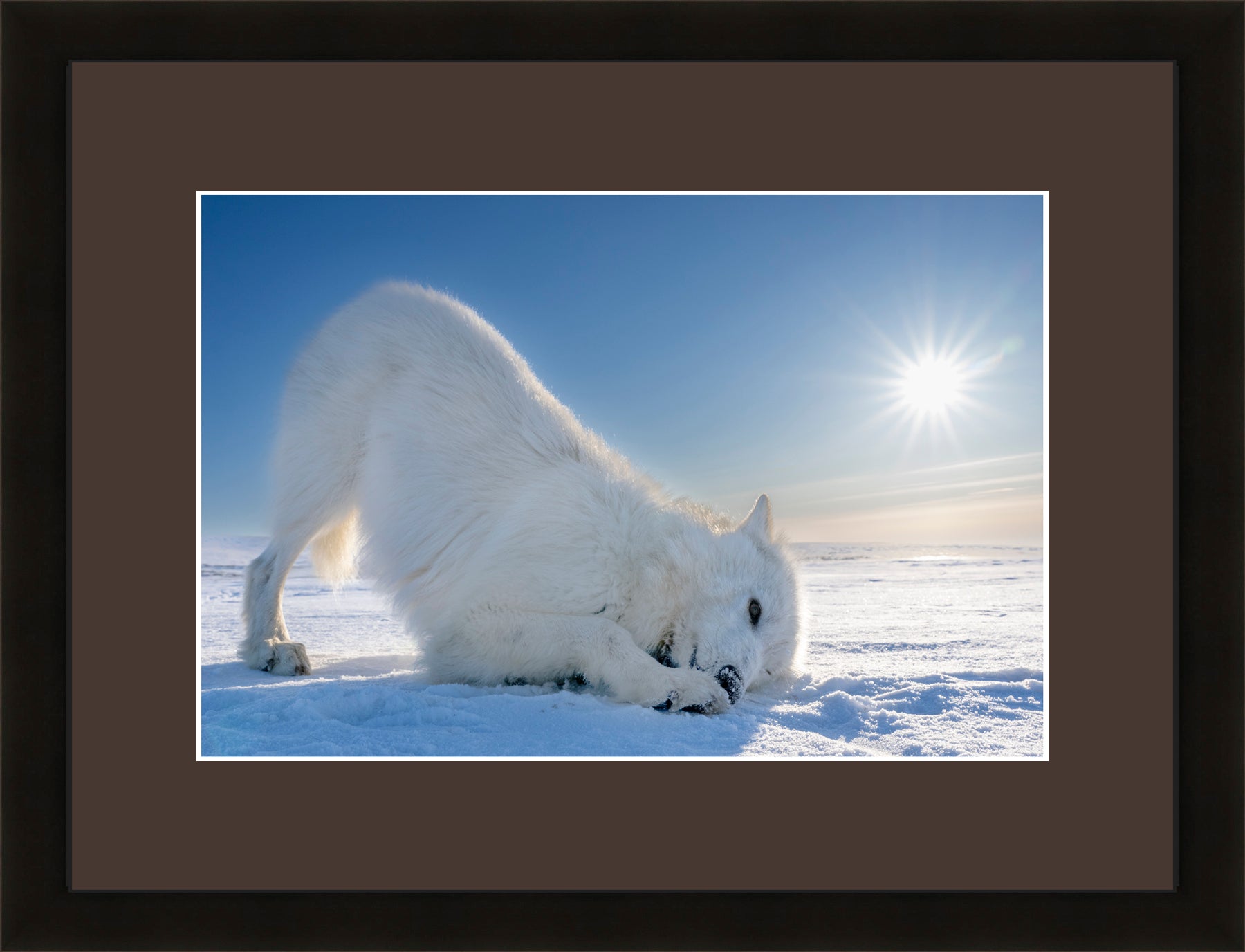 Contemporary Frame Brown Mat