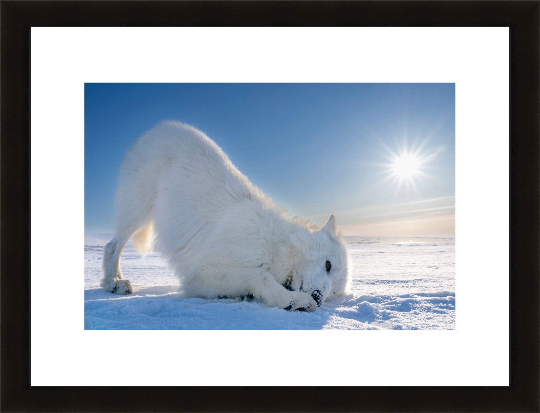 Contemporary Frame White Mat