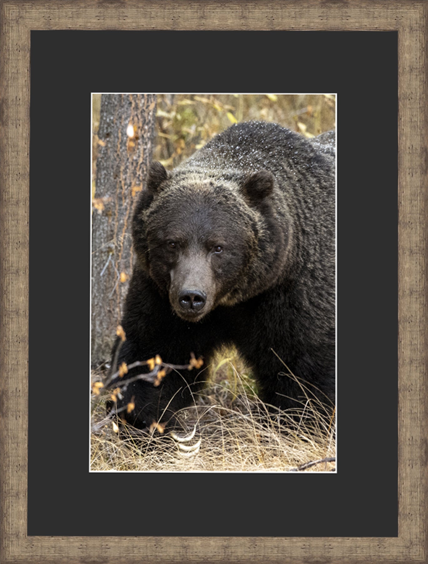 Contemporary Frame Black Mat