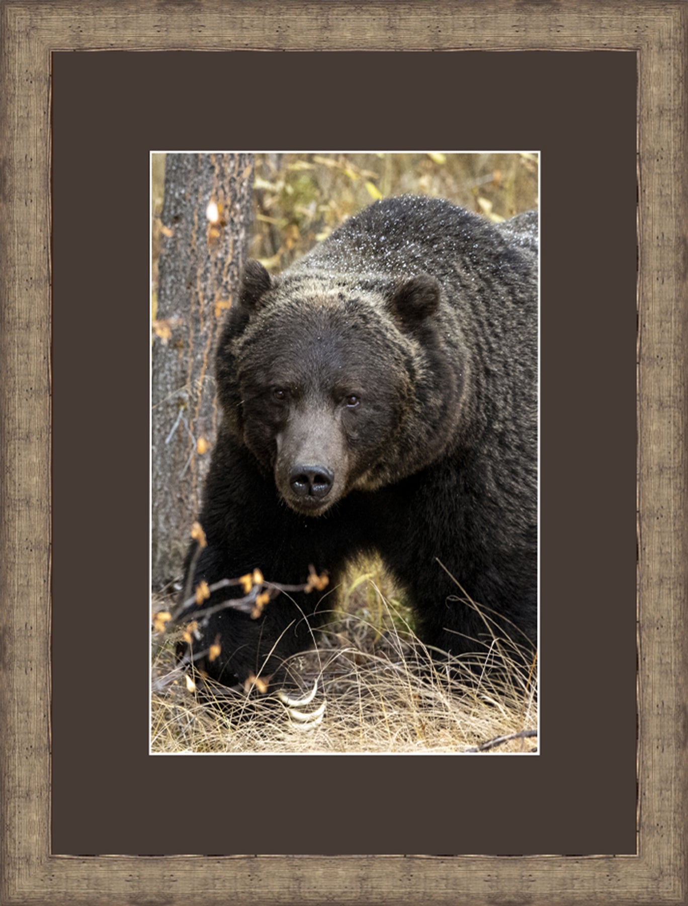 Contemporary Frame Brown Mat