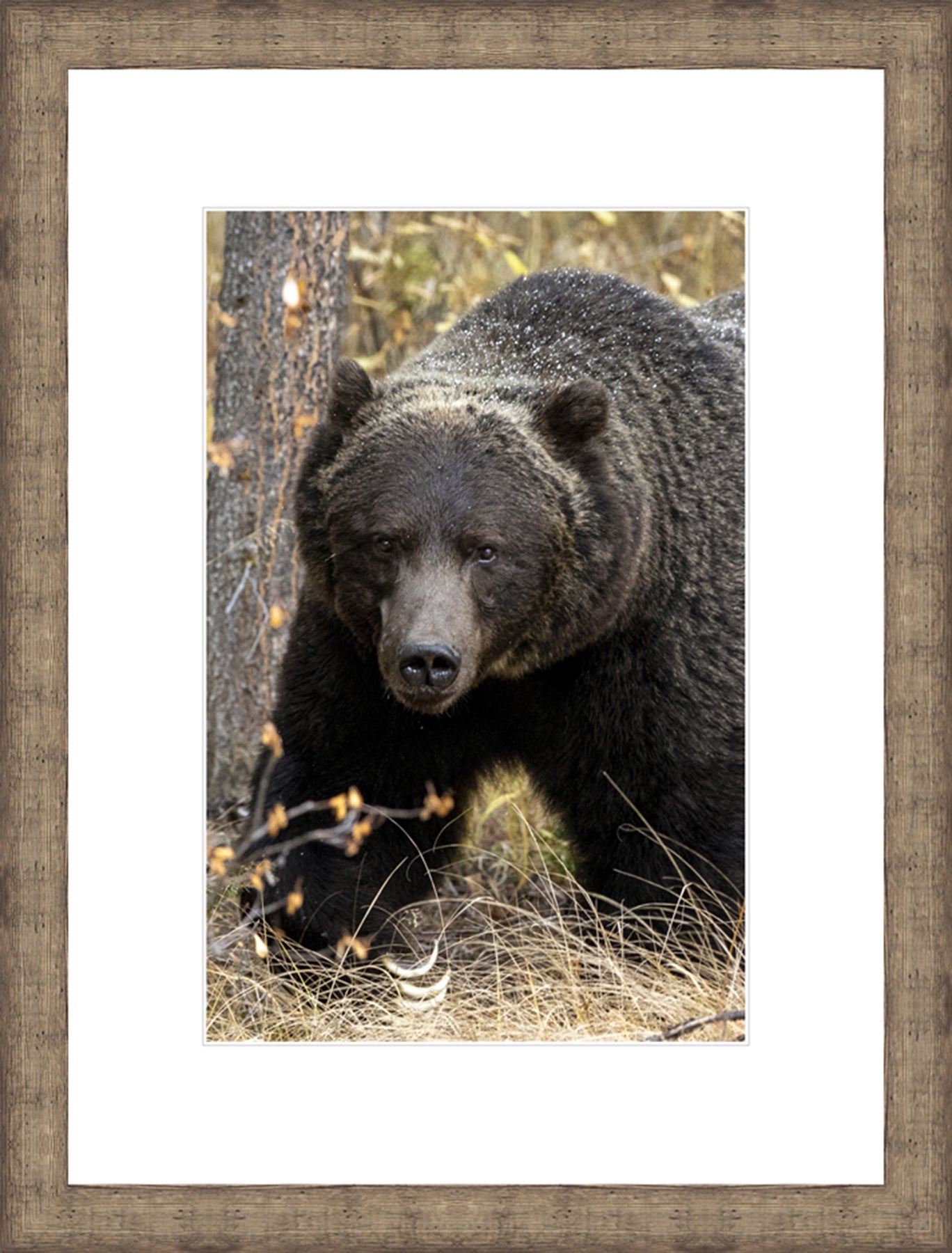 Contemporary Frame White Mat