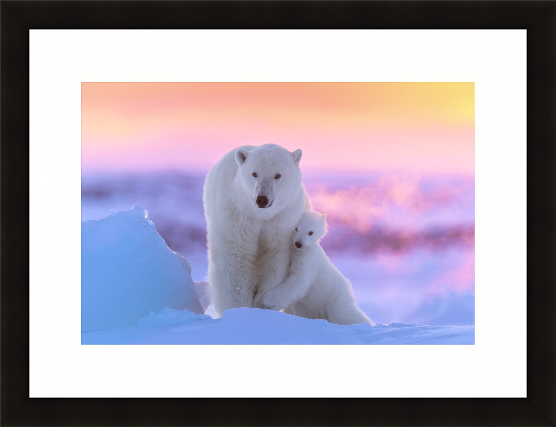 Contemporary Frame 