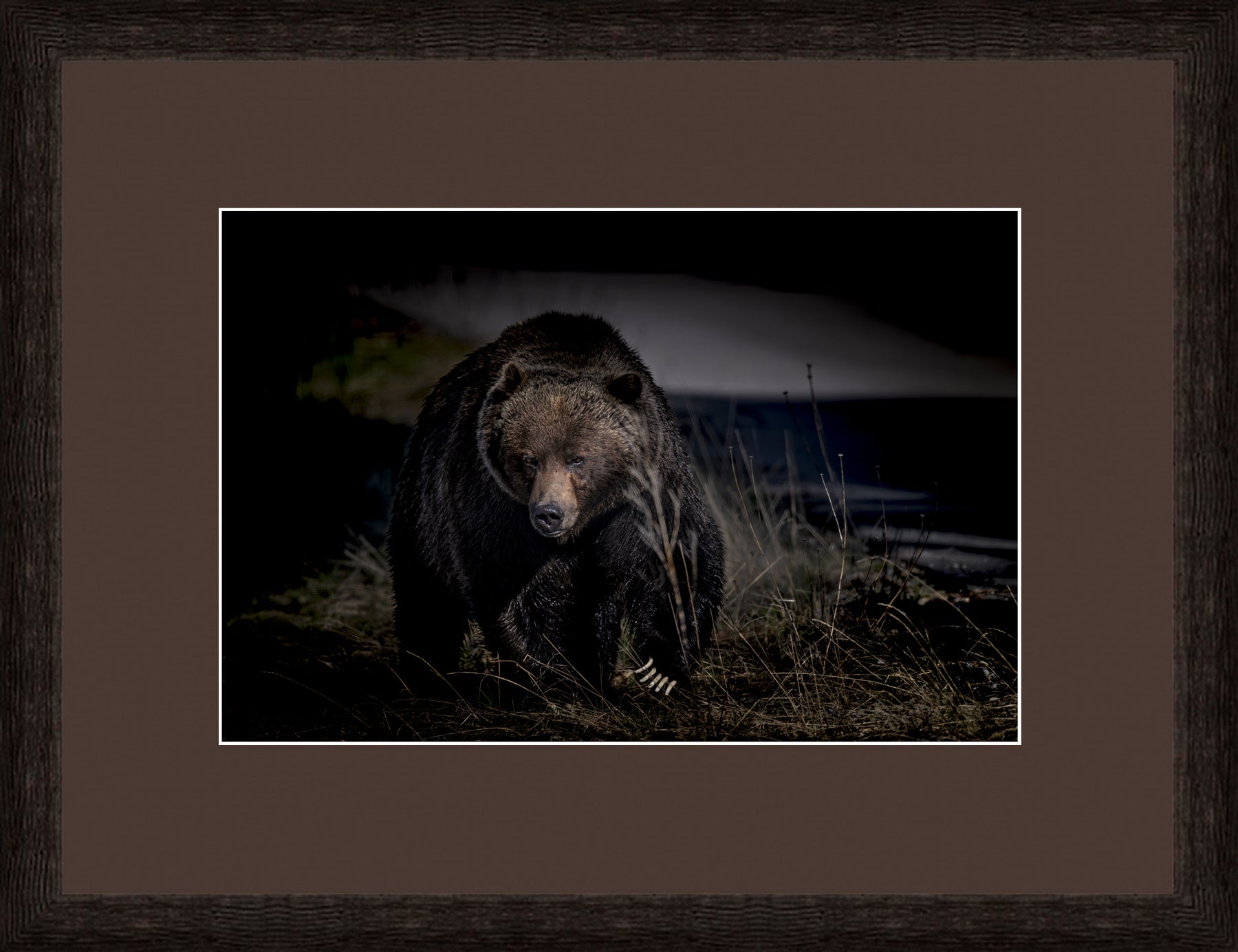 Contemporary Frame Brown Mat