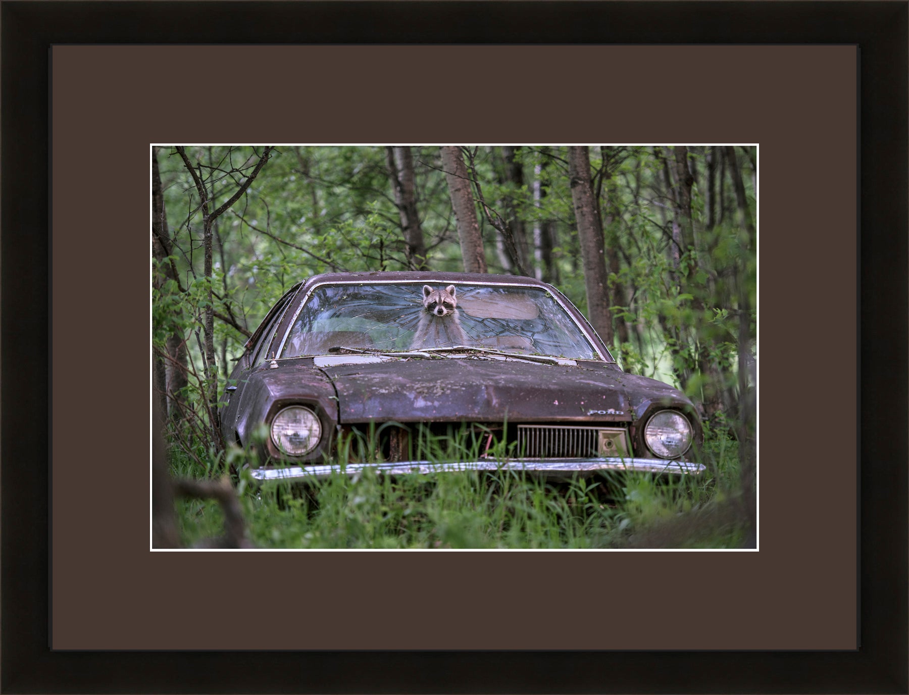 Contemporary Frame Brown Mat