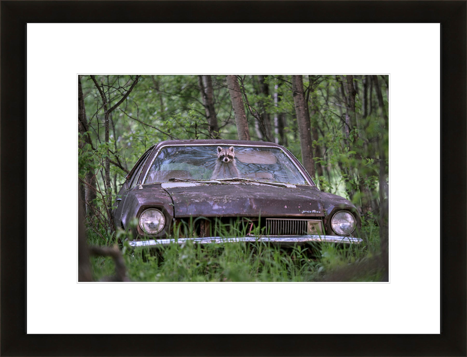 Contemporary Frame White Mat