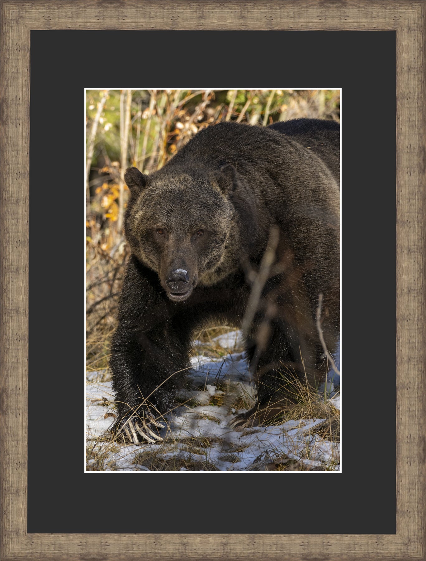 Contemporary Frame Black Mat