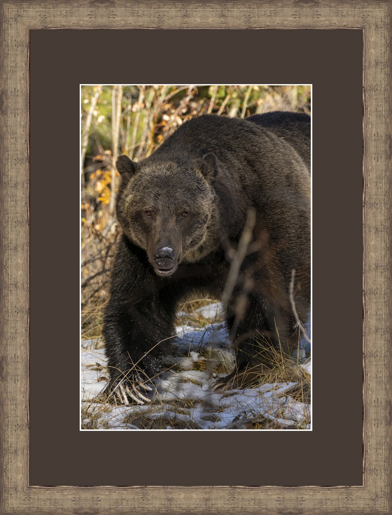 Contemporary Frame Brown Mat