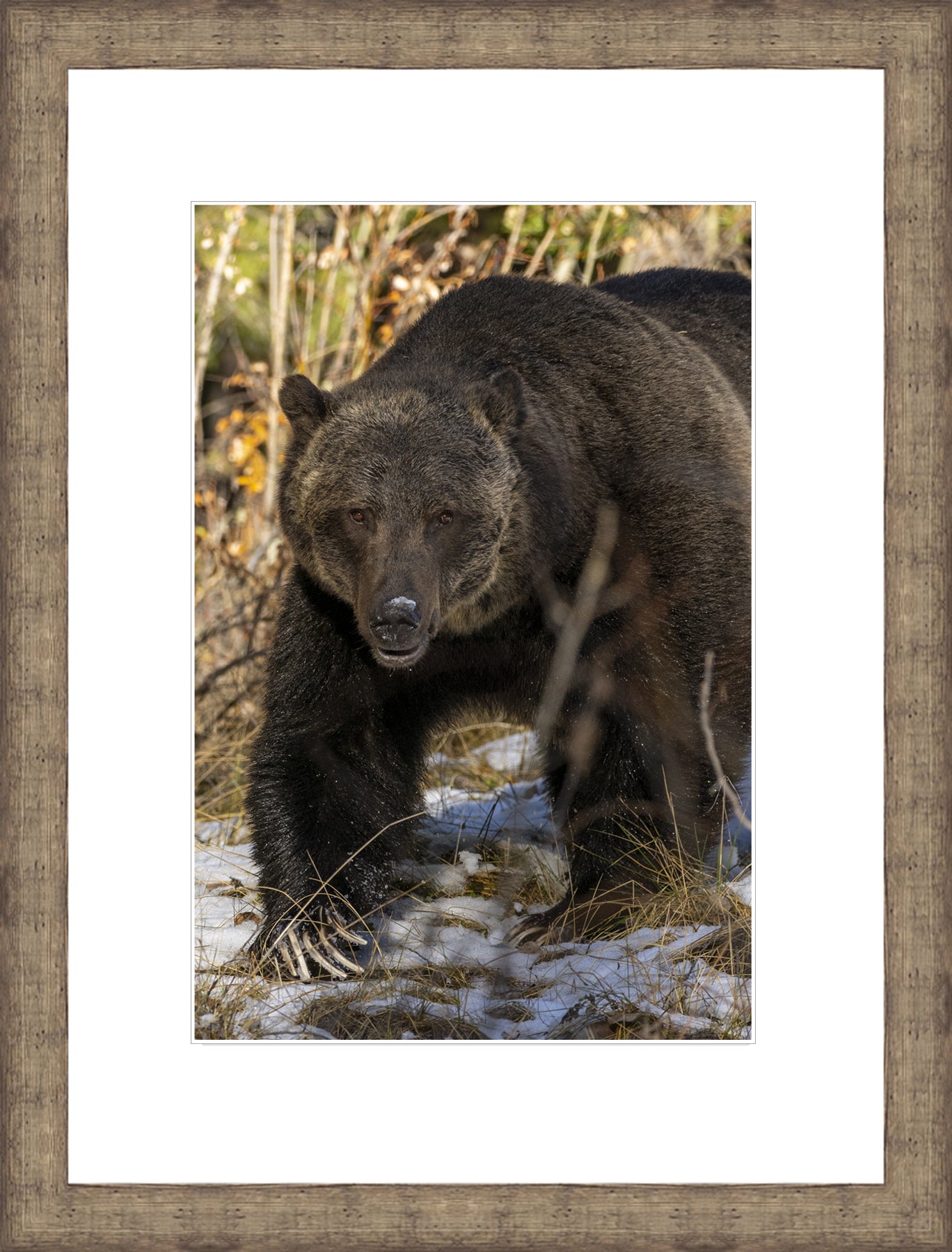 Contemporary Frame White Mat