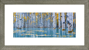 Canadian Wood Frame Panoramic