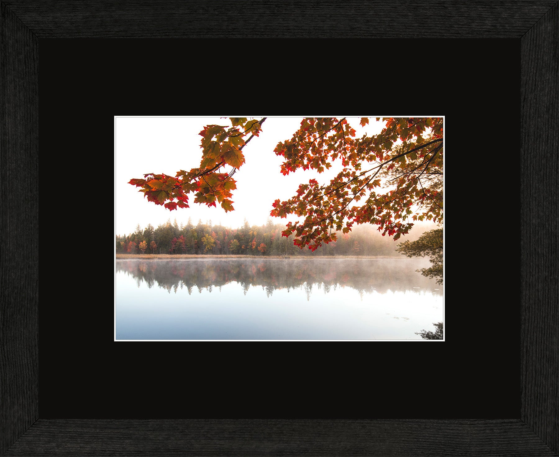 Canadian Wood Frame Regular