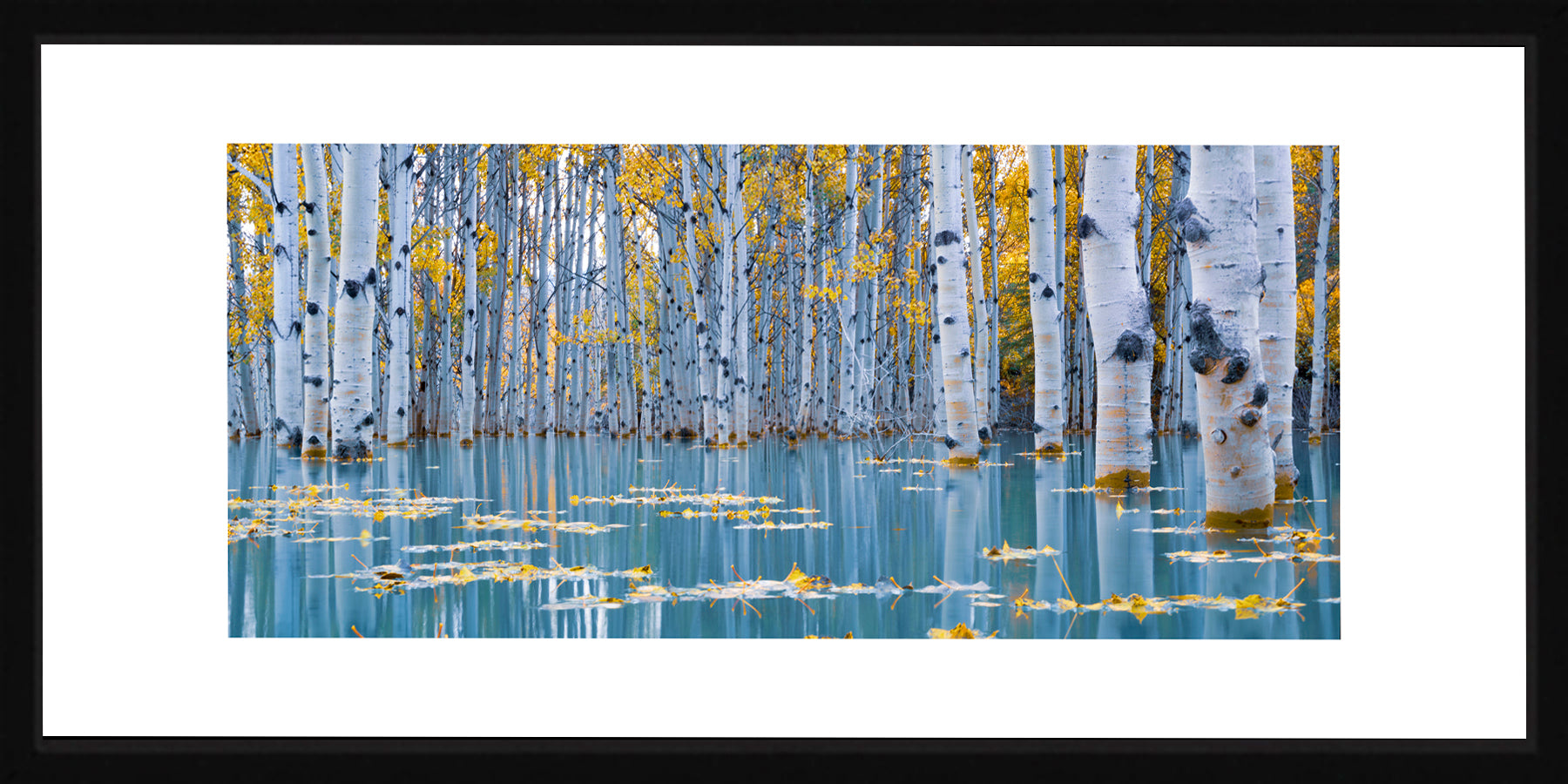 Contemporary Frame Panoramic