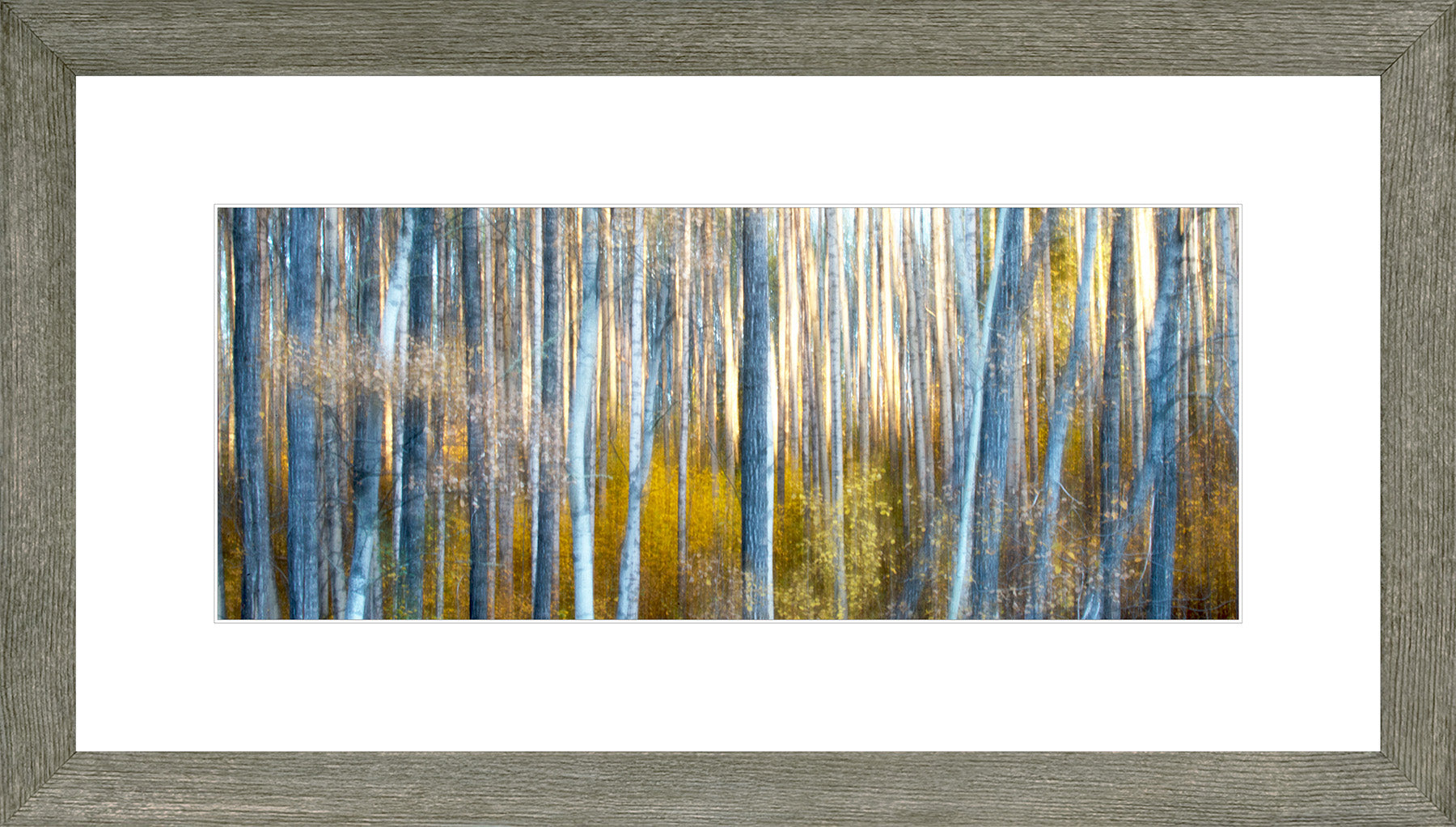Canadian Wood Frame Panoramic