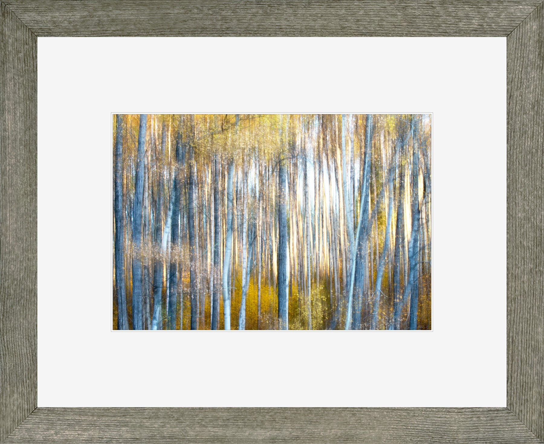 Canadian Wood Frame Regular