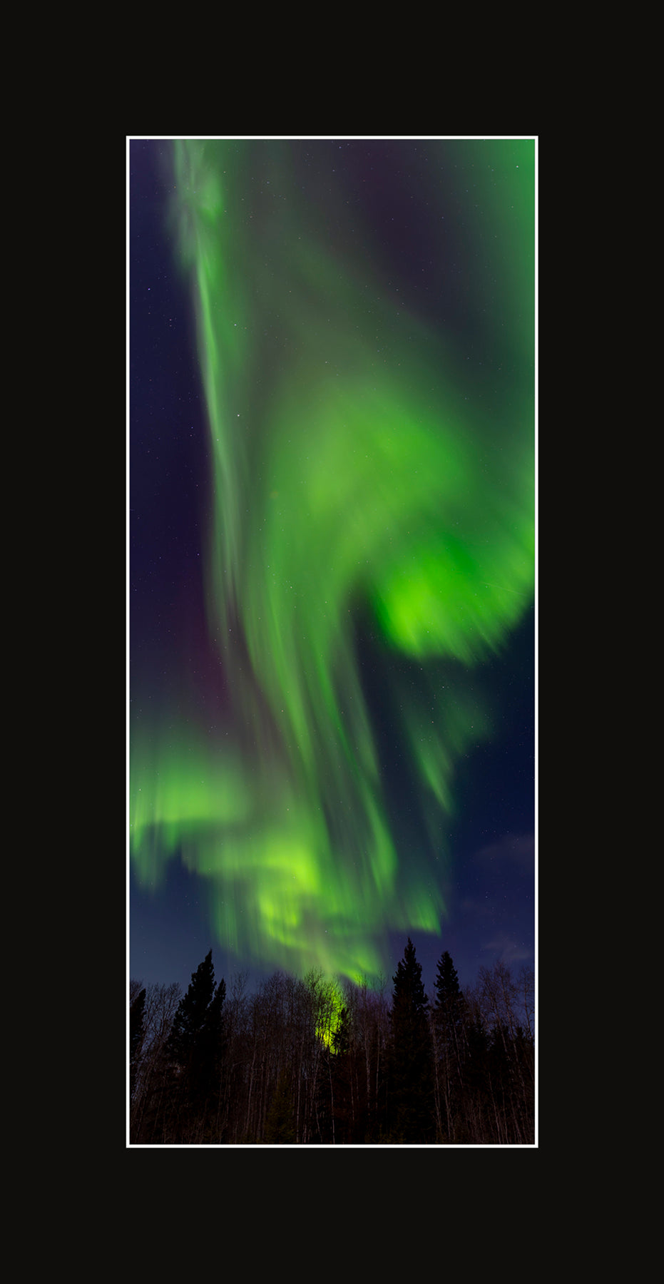 Matted Panoramic