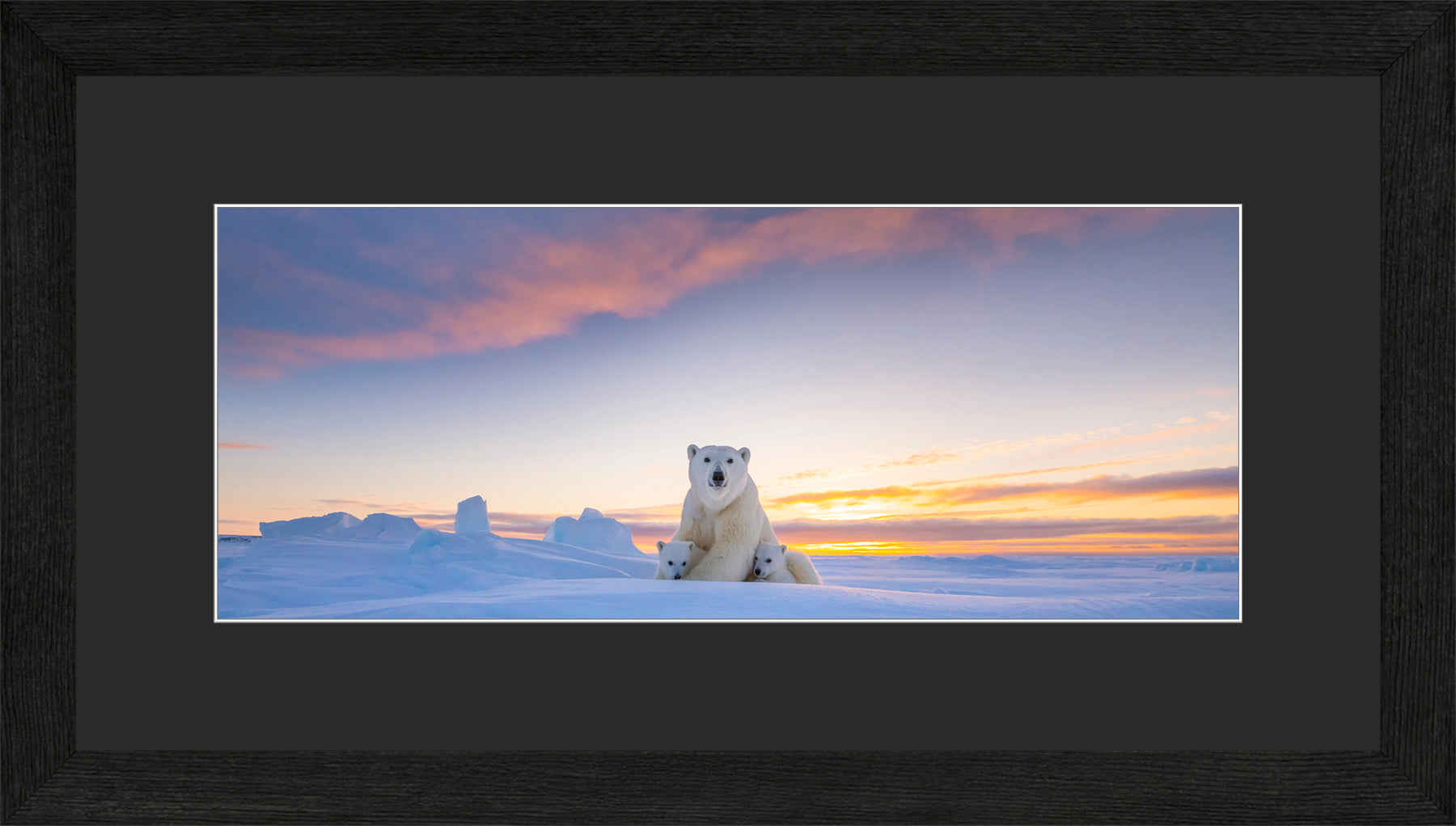 Panoramic Canadian Wood Frame Black/Black Mat