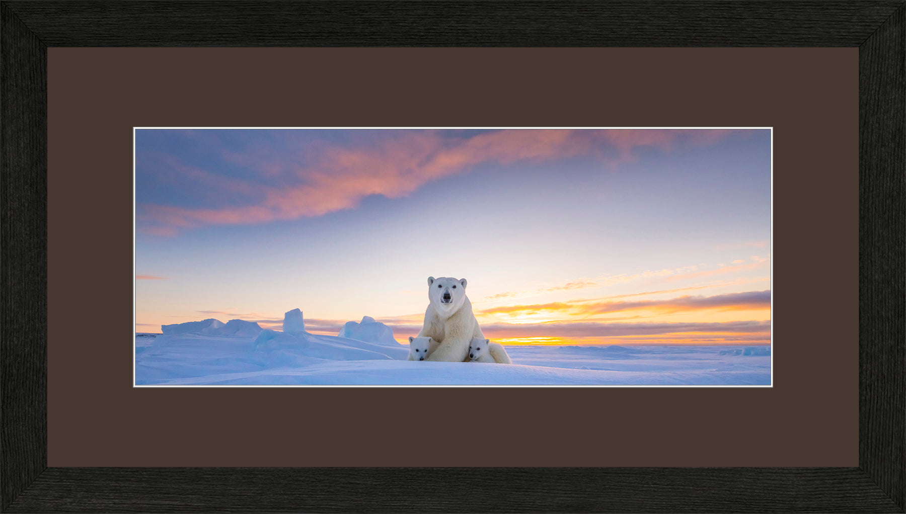 Panoramic Canadian Wood Frame Black/Brown Mat