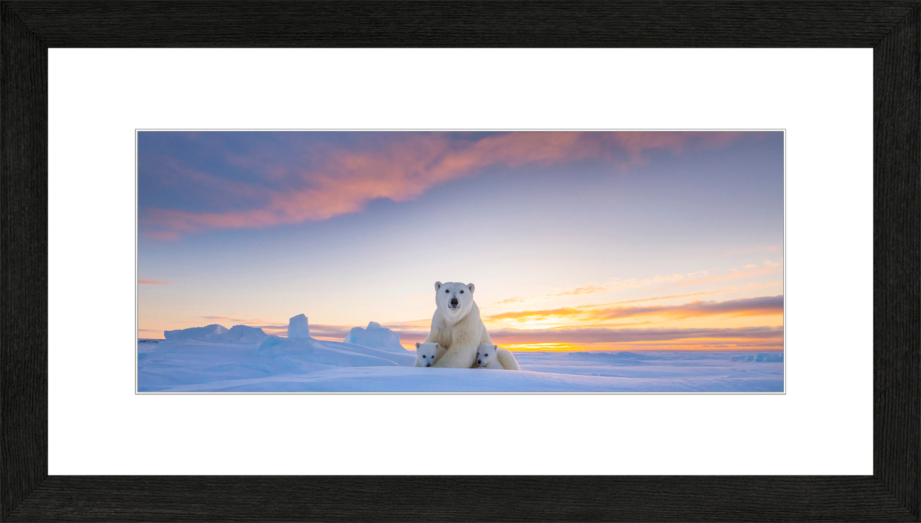 Panoramic Canadian Wood Frame Black/White Mat